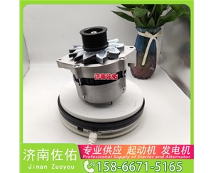 广西4996707起动机JFZ270-0625 朝柴 XCMG XE17 4JG1 发电机
